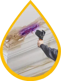 Fort Lauderdale Water Damage Fort Lauderdale, FL 954-372-1761