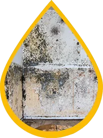 Fort Lauderdale Water Damage Fort Lauderdale, FL 954-372-1761