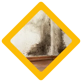 Fort Lauderdale Water Damage, Fort Lauderdale, FL 954-372-1761